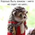 Прикольные картинки, новая подборка мемов 1522923872_prikolnie-kartinki-050.jpg