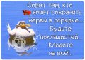 Прикольные картинки, новая подборка мемов 1522923921_prikolnie-kartinki-176.jpg