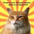 Мемы дистанционка самоизоляция 1589194210_mem-distanchonka-03.jpg