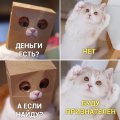 Мемы приколы про котов и кошек картинки 1589810232_mem-koshki-01.jpg