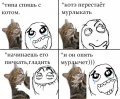 Мемы приколы про котов и кошек картинки 1589810245_mem-koshki-02.jpg